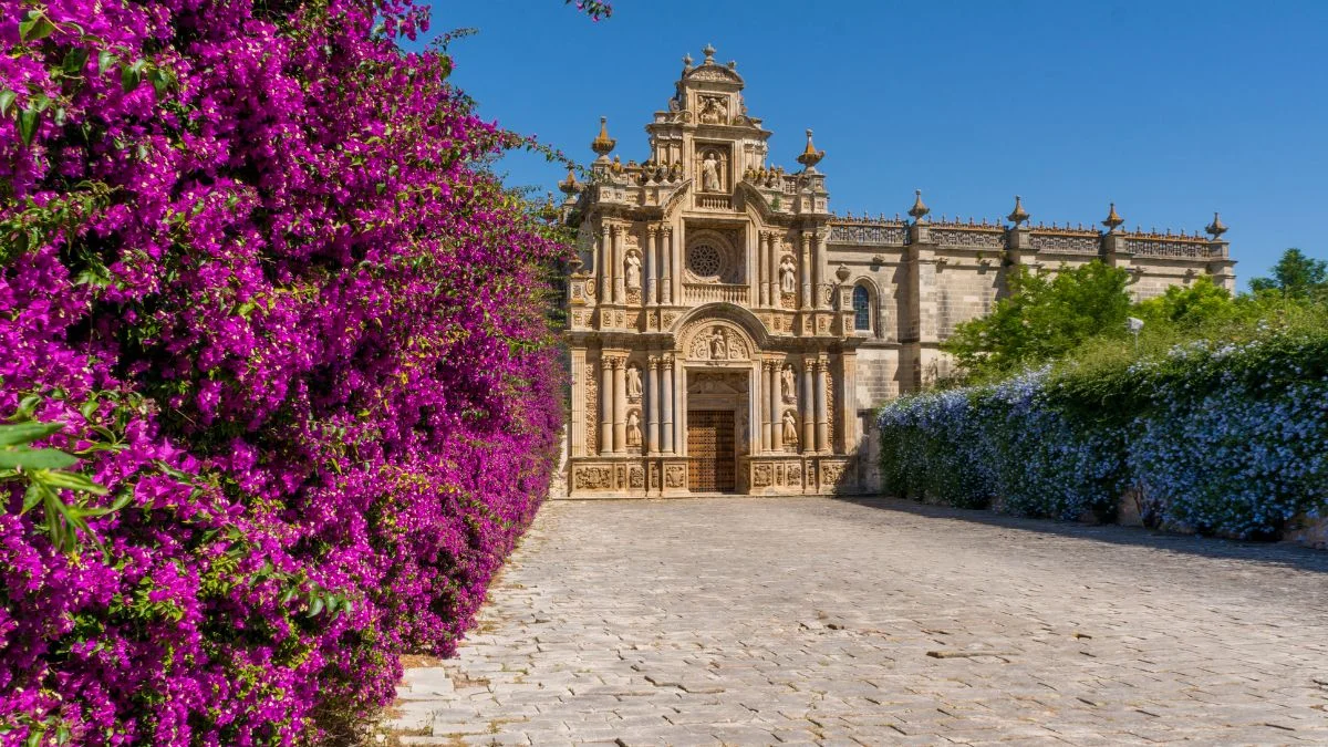 agencia jerez de la frontera